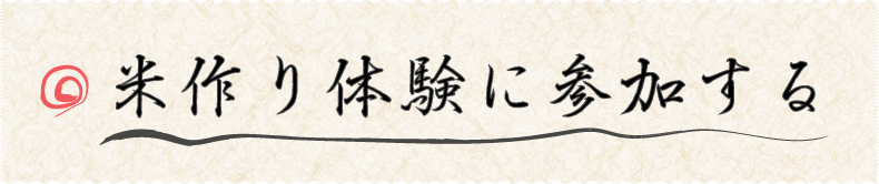 米作り体験に参加する