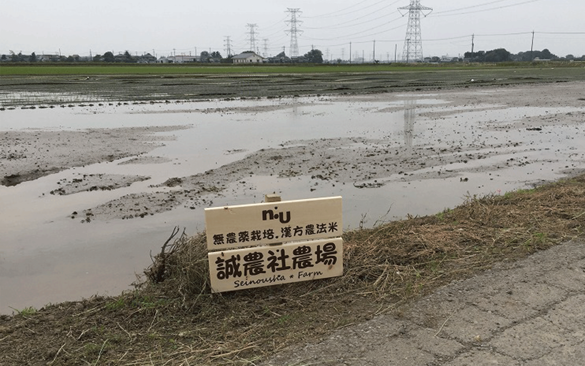 フォト　誠農社 漢方農法米田んぼオーナー