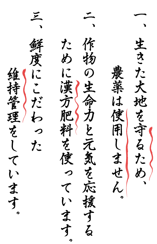 漢方農法米３つのこだわり　誠農社 漢方農法米田んぼオーナー