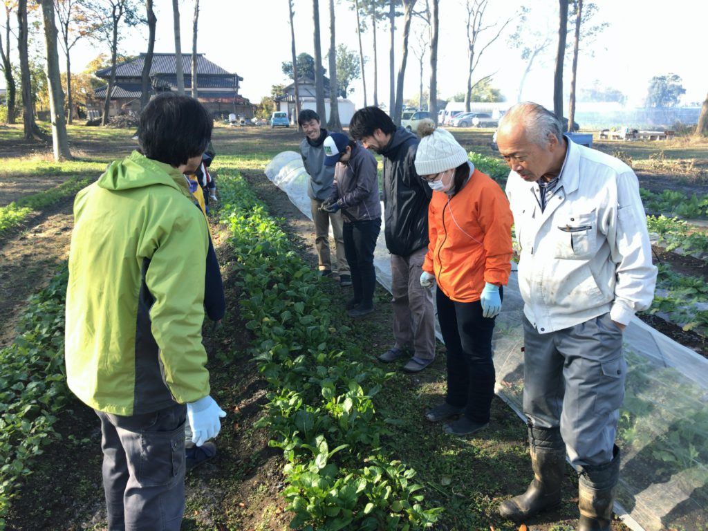 2018年3月3日の自然栽培について