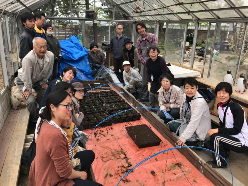 2018年4月21日の自然栽培について