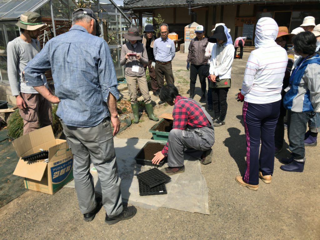 2018年5月5日の自然栽培について