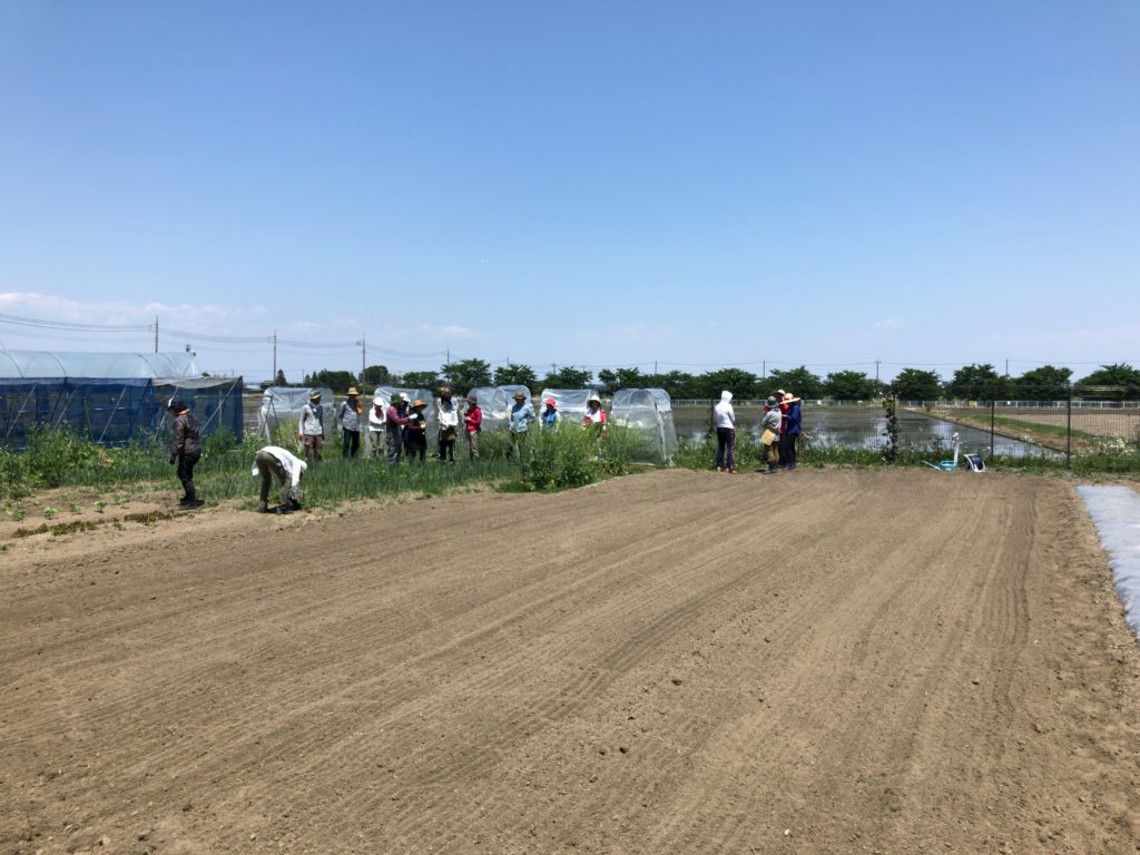 2018年5月19日の自然栽培について