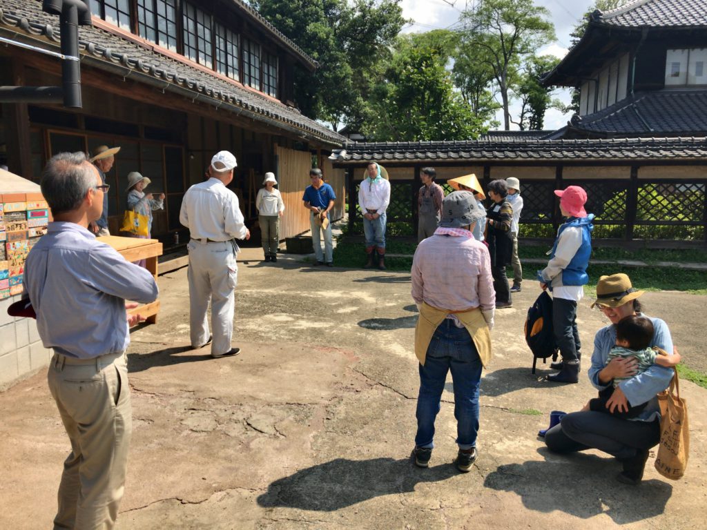 2018年6月16日の自然栽培について