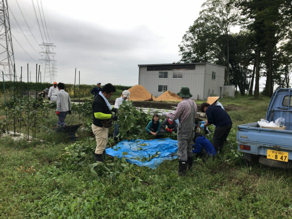 2018年10月20日の自然栽培について