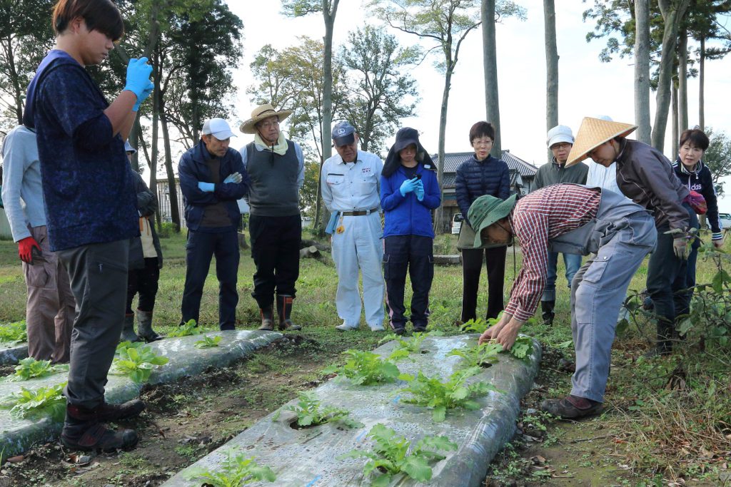 2018年11月3日の自然栽培について