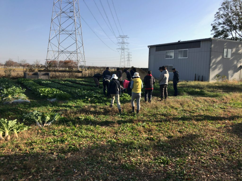 2018年12月15日の自然栽培について