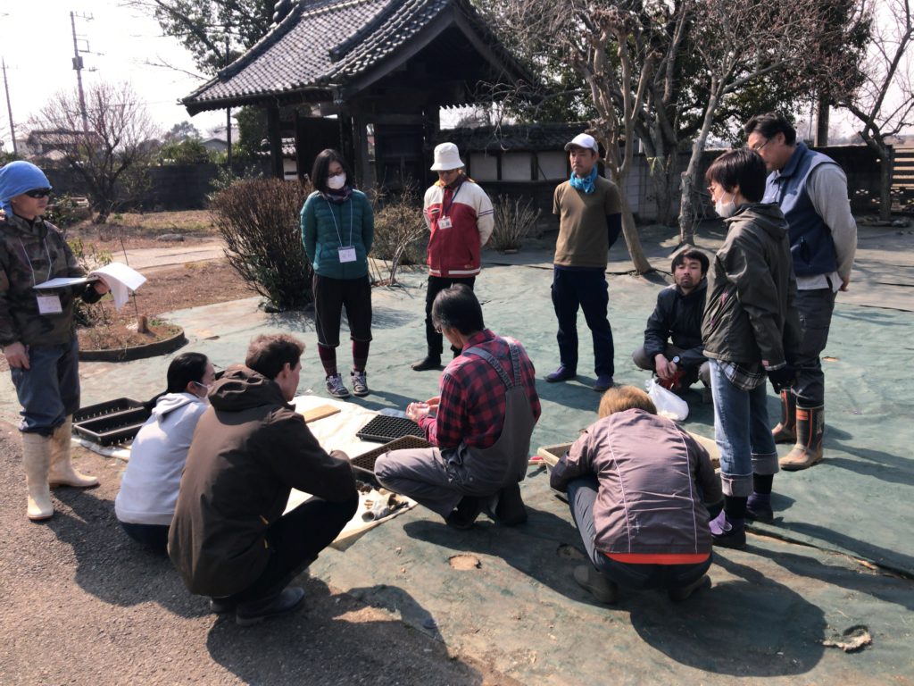 2019年3月30日の自然栽培について