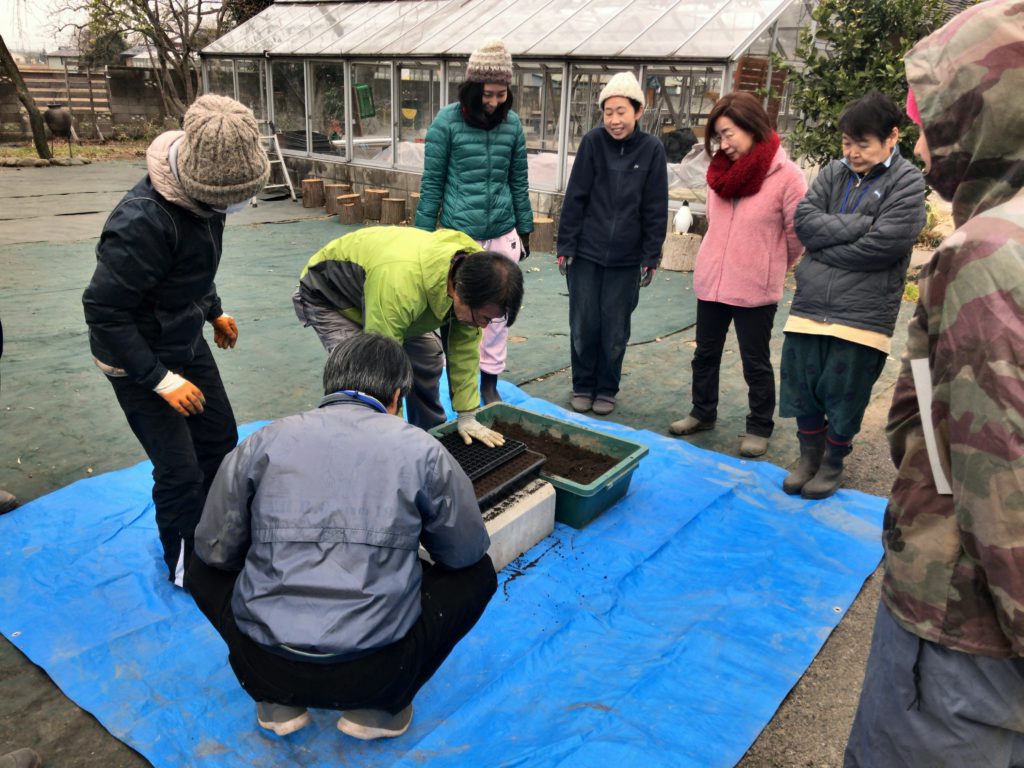 2019年4月6日の自然栽培について