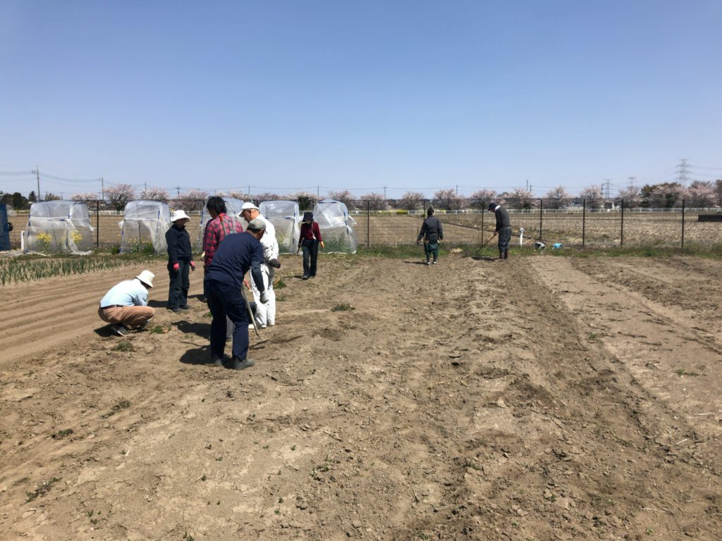 2019年4月20日の自然栽培について