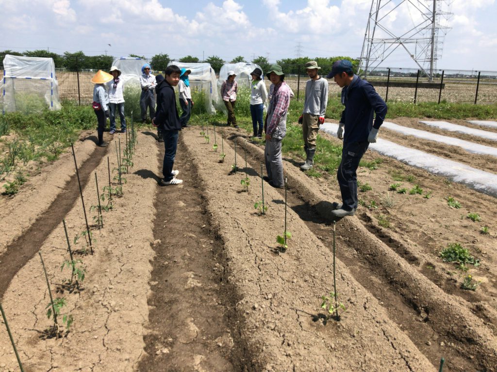 2019年5月18日の自然栽培について