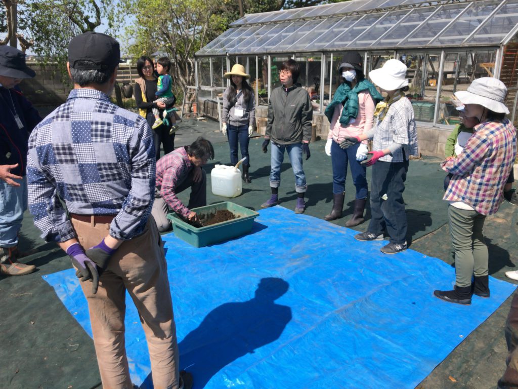 2019年5月4日の自然栽培について