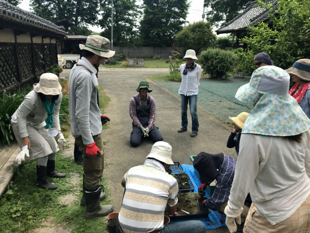 2019年6月1日の自然栽培について