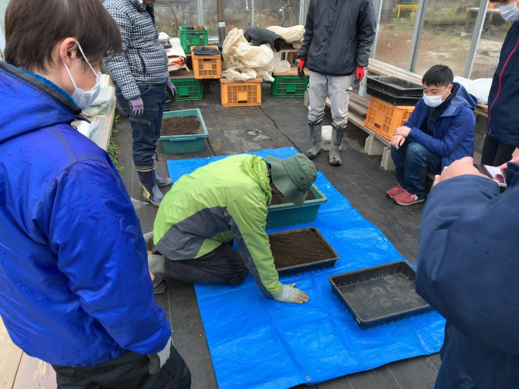3月28日の自然栽培の会について