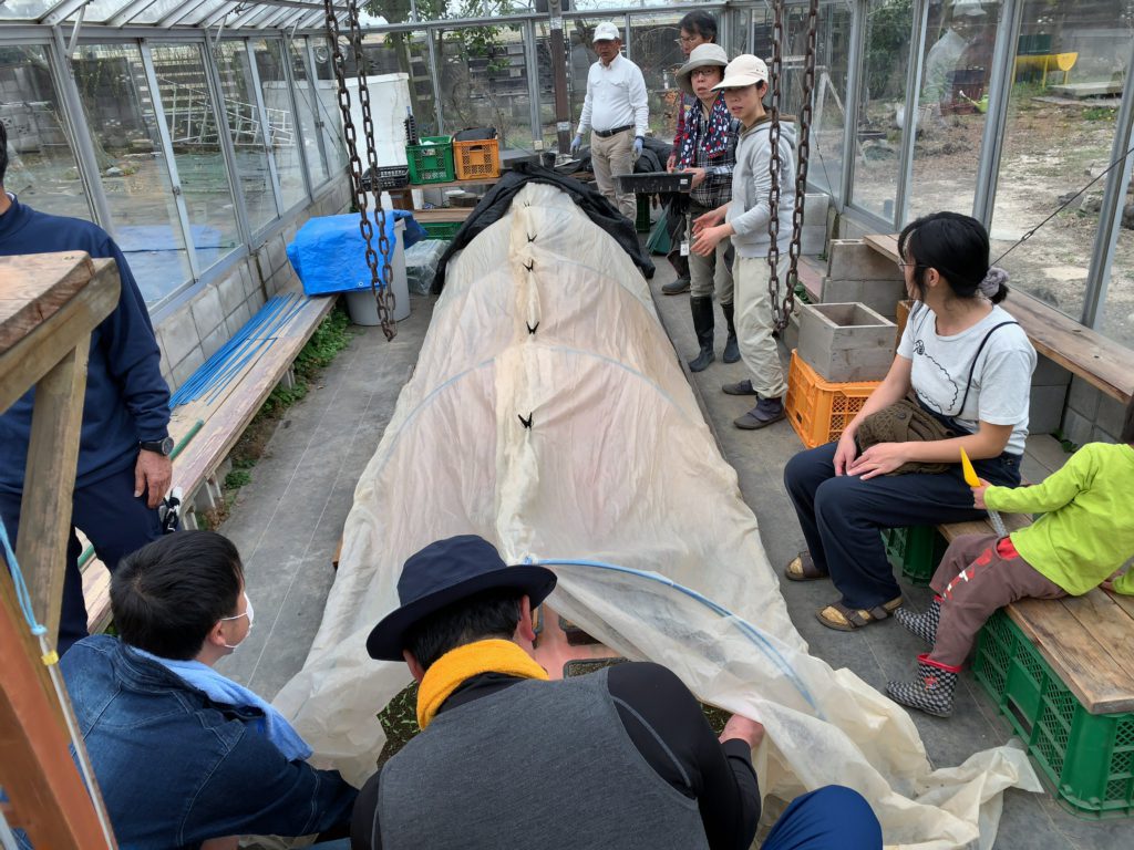 4月4日の自然栽培の会について