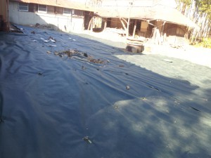 防草シート貼り