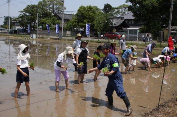 5月25日、31日に開催された農業イベントにお越し頂きありがとうございました。