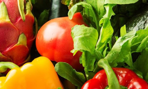 自然栽培を学ぼう!!関野塾!!