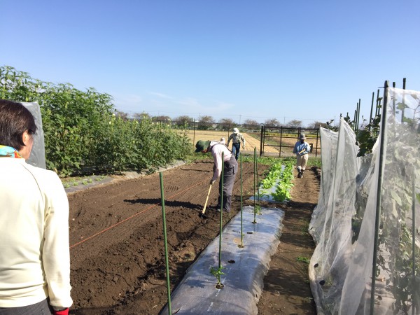 20151004_001946364_iOS