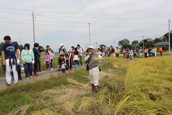 2015年度の稲刈りイベント。沢山のご来場ありがとうございました。