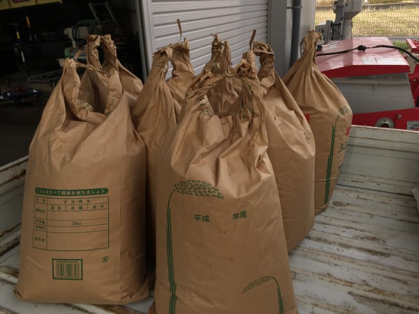 20151116_052802959_iOS