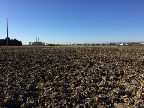 20151205_002948195_iOS