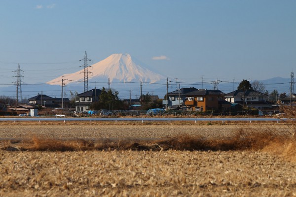 新年おめでとうございます。2016年も誠農社をよろしくお願い致します。
