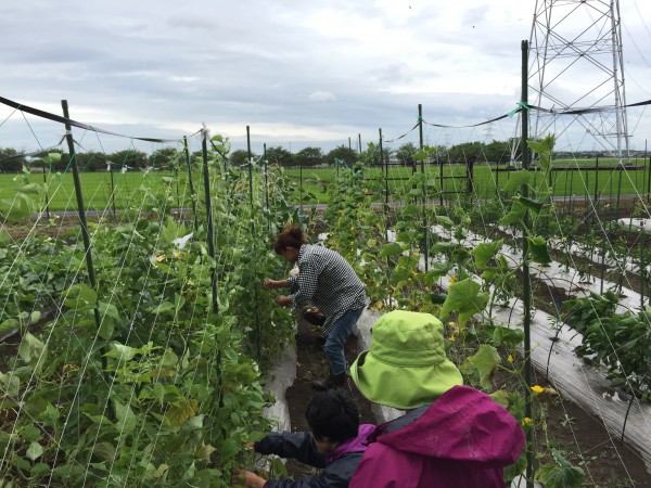 20160709_012749397_iOS