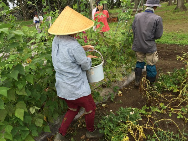 20160709_012825932_iOS