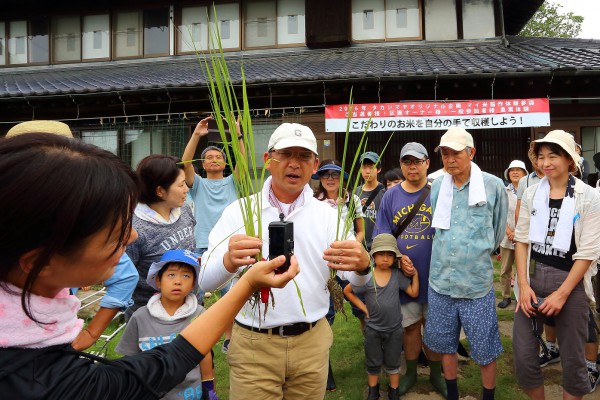 草取り体験への沢山のご参加ありがとうございました。