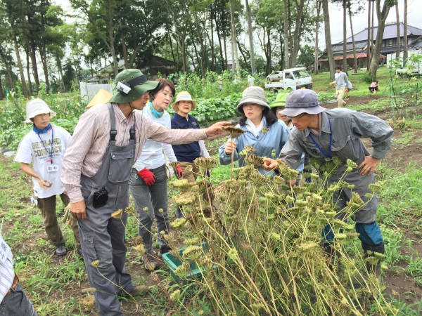 20160716_005937522_iOS