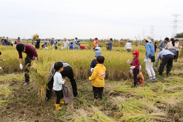 2016年のお米作り体験にご参加いただきありがとうございました。
