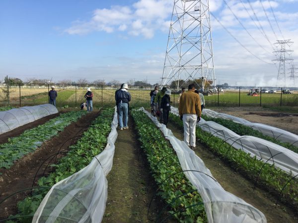 2016年11月19日の自然栽培の会について