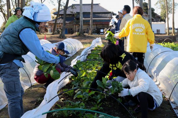 2016年12月17日の自然栽培の会について