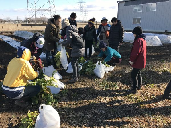 2017年2月4日の自然栽培の会について(特別会)