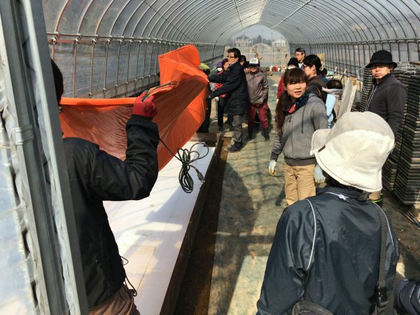 20170304_011719960_iOS