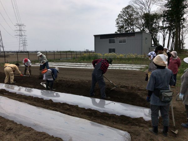 20170415_024630121_iOS