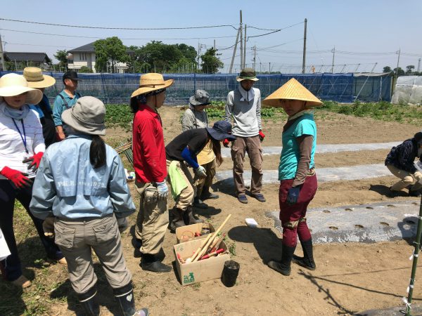 20170520_010603695_iOS