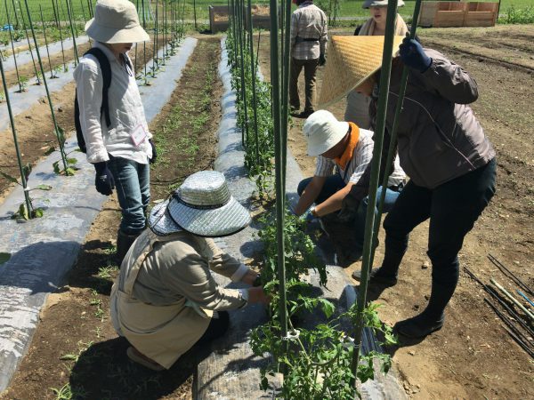 20170603_003639022_iOS