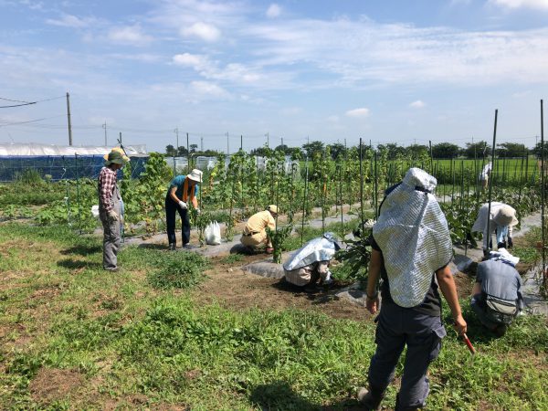 2017年8月5日の自然栽培の会について