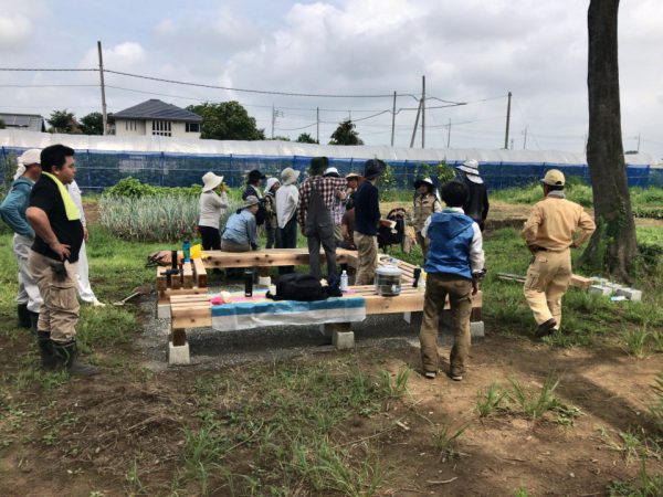 20170805_012117065_iOS