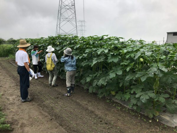 2017年9月2日の自然栽培の会について