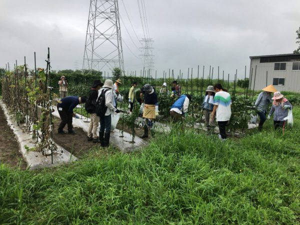 20170819_003310716_iOS