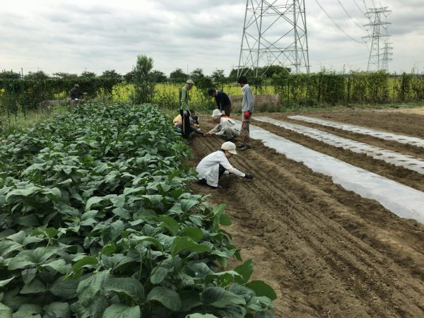 2017年10月7日の自然栽培の会について