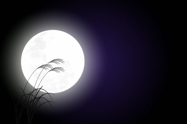 2017年11月4日 秋の月見茶会