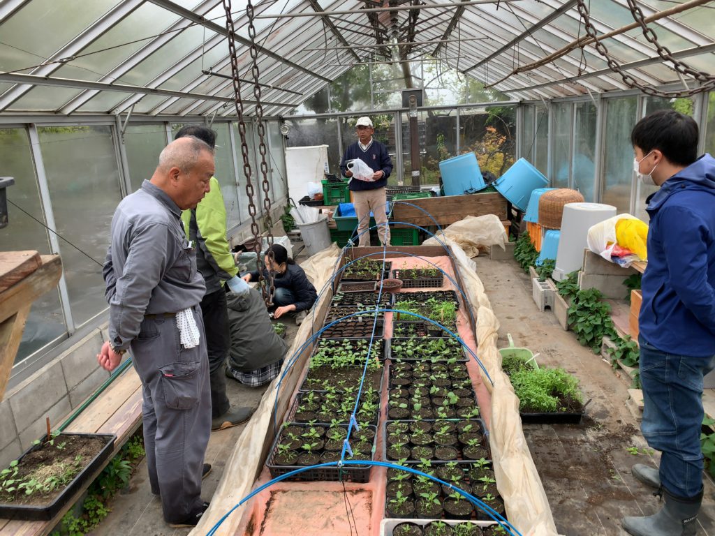 5月2日の自然栽培の会について