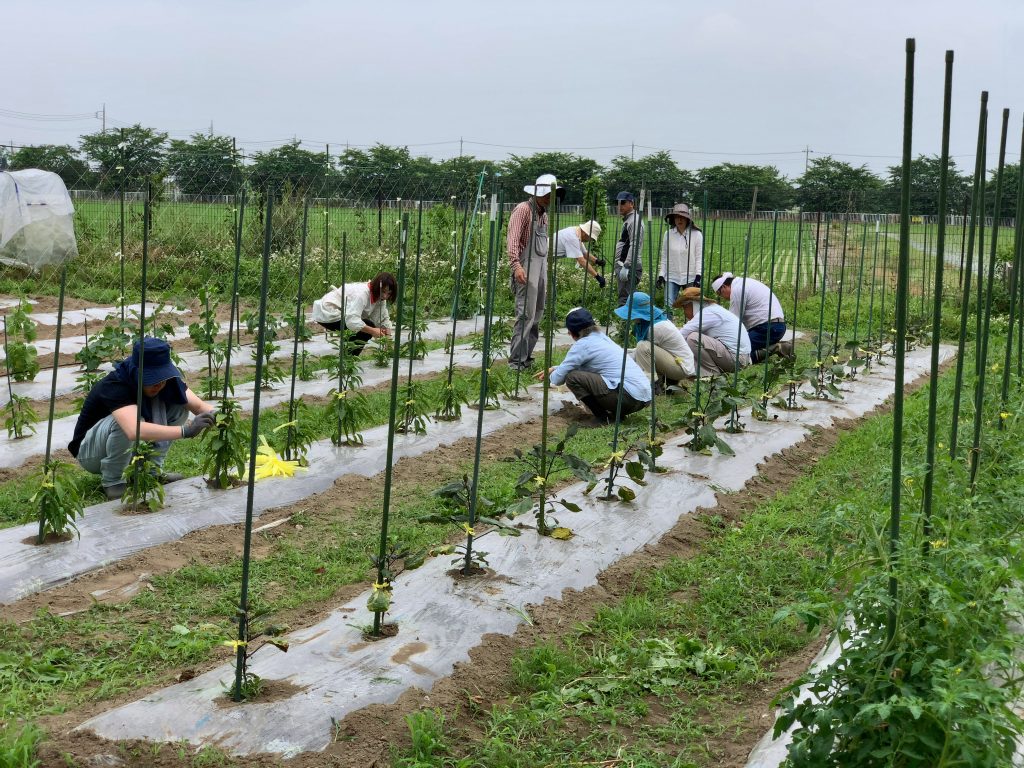 6月20日の自然栽培の会について