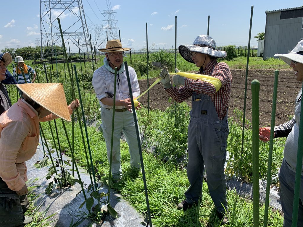 7月4日の自然栽培の会について