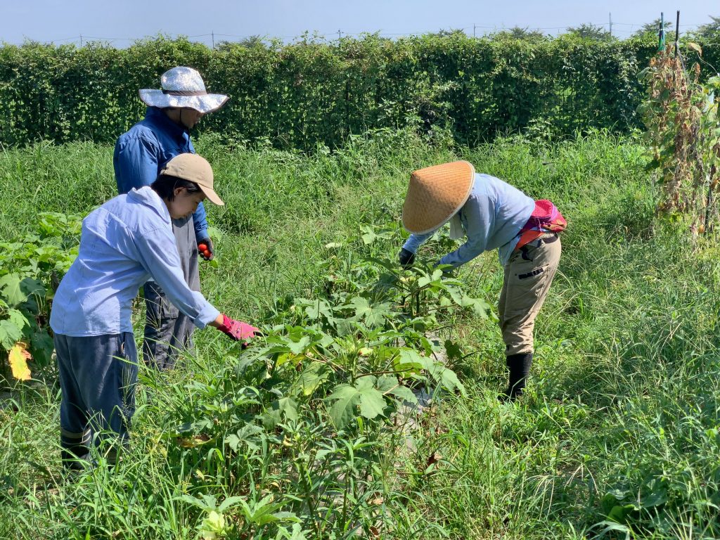 8月15日の自然栽培の会について