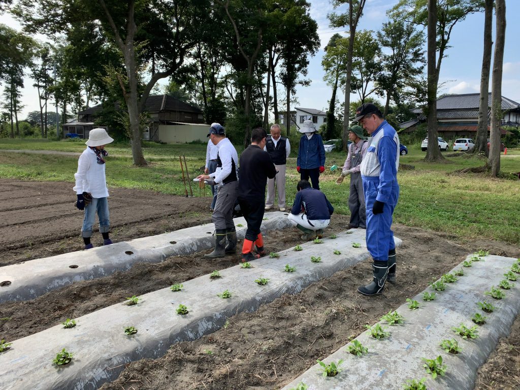 10月17日の自然栽培の会について